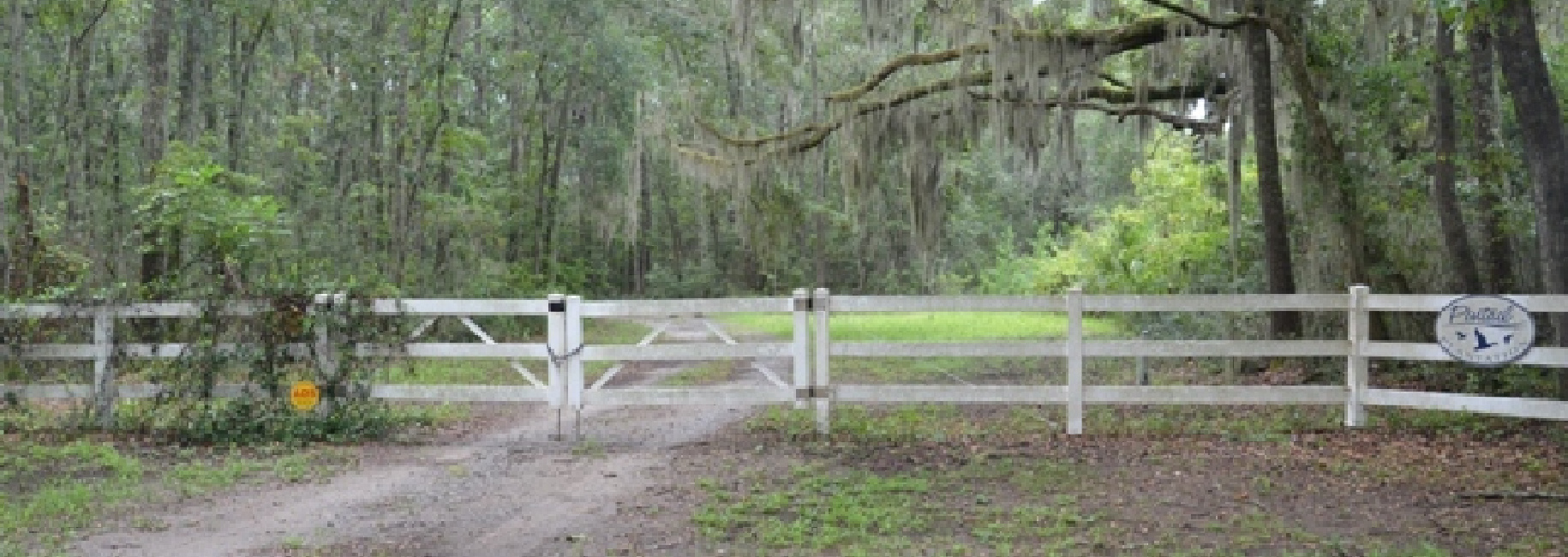 Pintail Plantation Main Photo