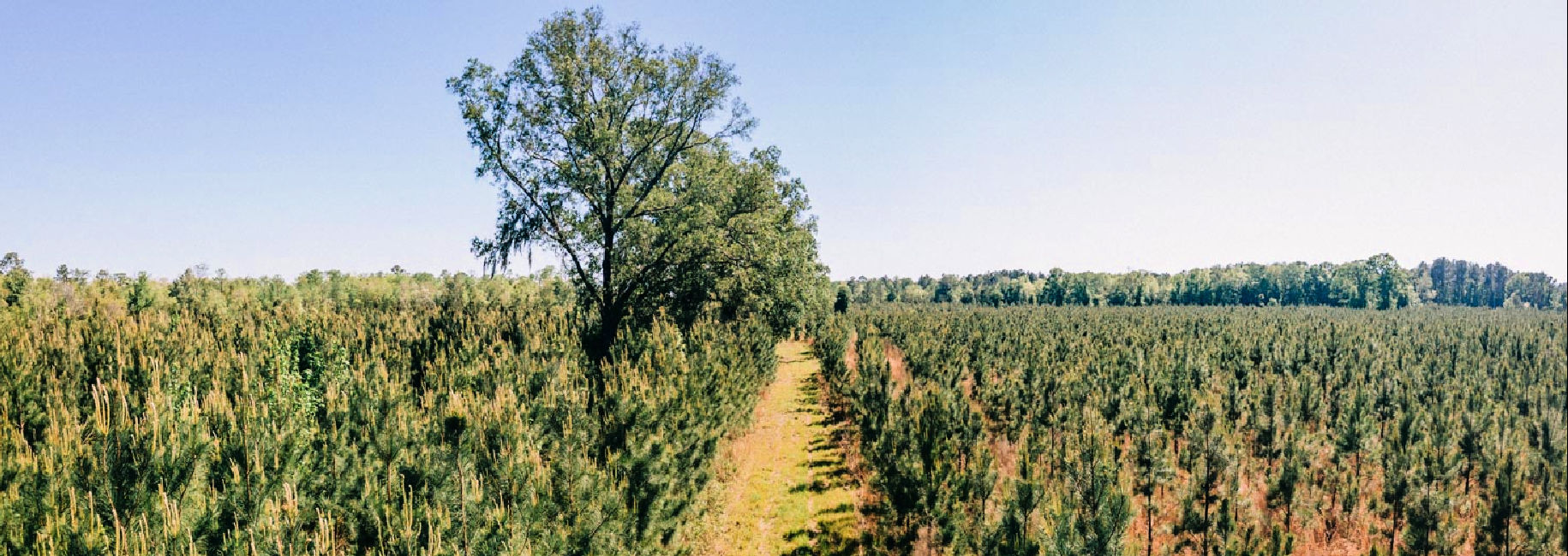 Red Hill Farm Main Photo