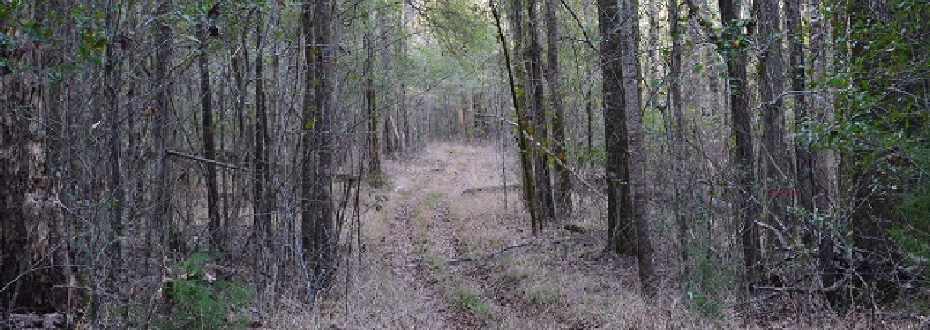 Sandy Hill Creek Main Photo