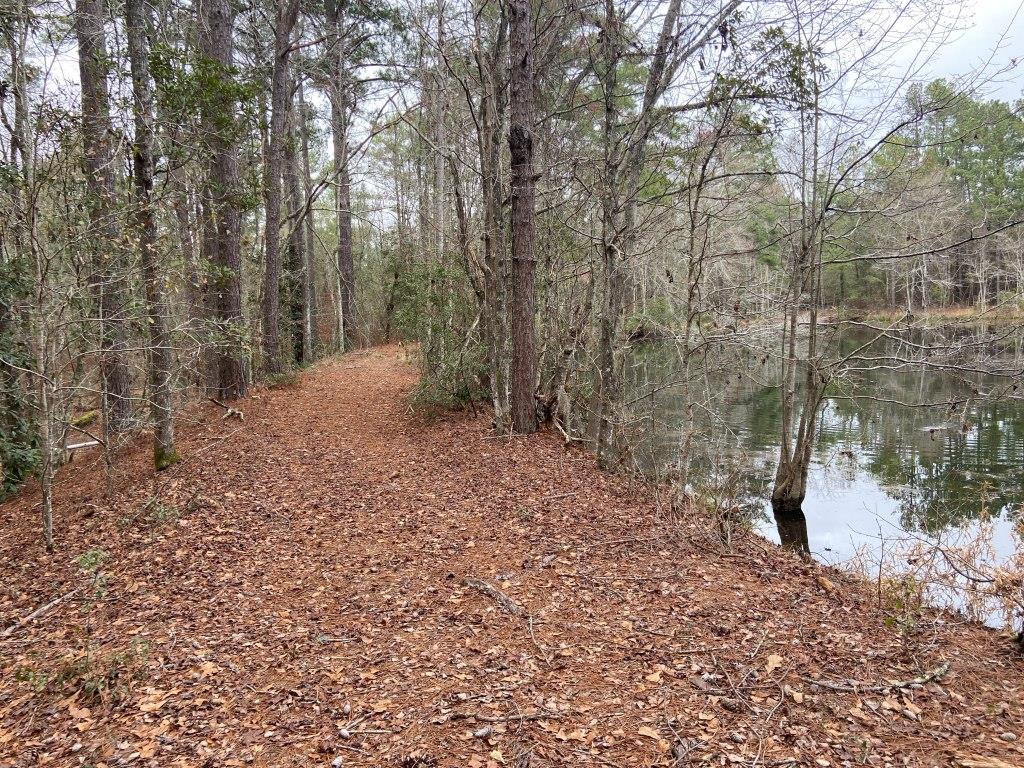 Twin Oaks Pond Photo