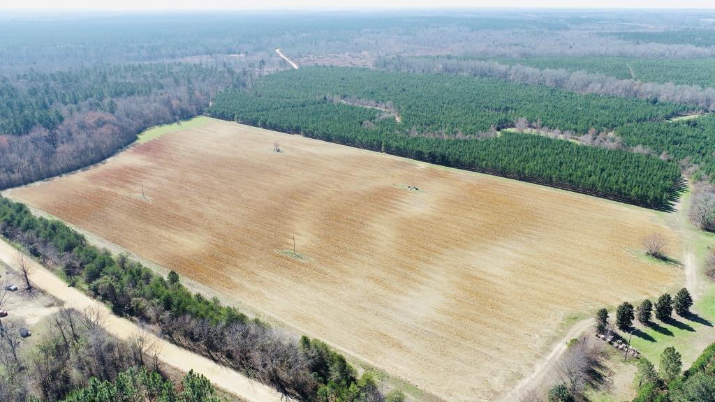 Harrison Davisboro Tract Photo