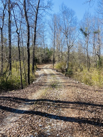 Harrison Davisboro Tract Photo