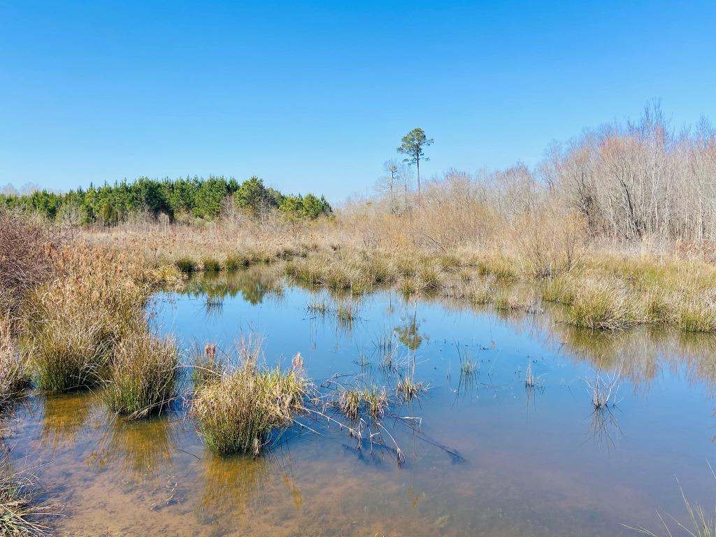 Harrison Davisboro Tract Photo