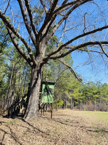 Harrison Davisboro Tract Photo