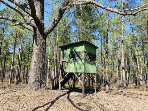 Harrison Davisboro Tract Photo