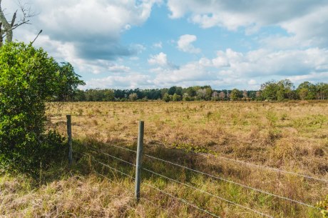 Boykin Pastures