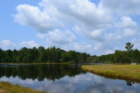 Patsiliga Creek