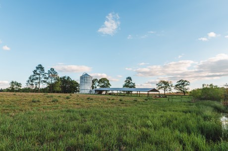 Lake Collins Farm