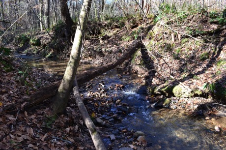 Creek Fork