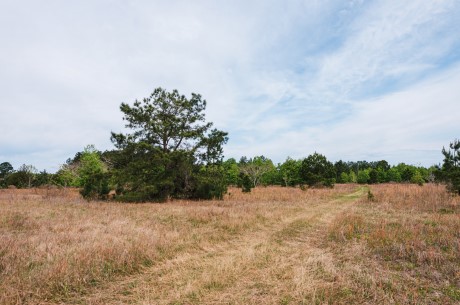 Brooklet Denmark – Lot 4