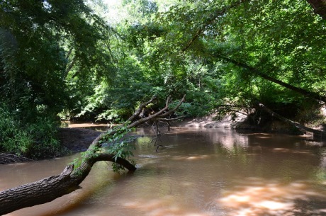 Ulcohatchee Creek