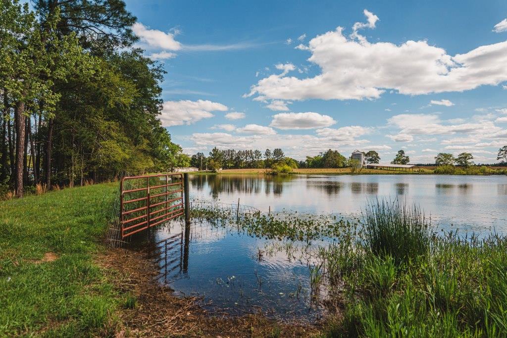 Lake Collins Farm Photo