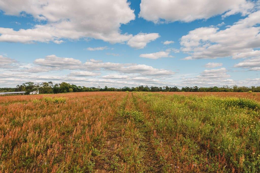 Lake Collins Farm Photo