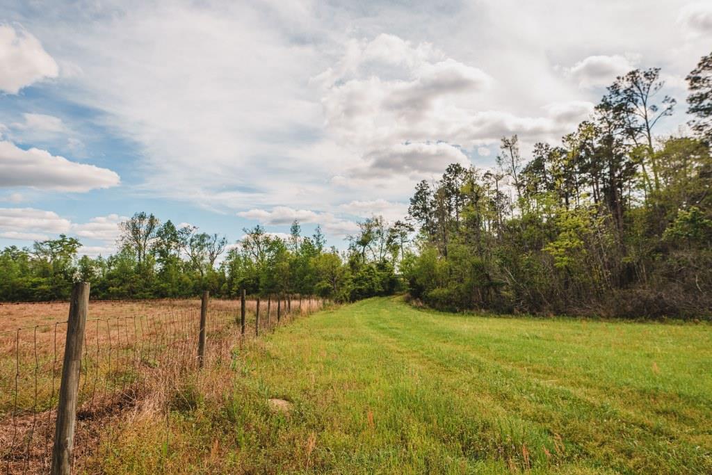 Lake Collins Farm Photo