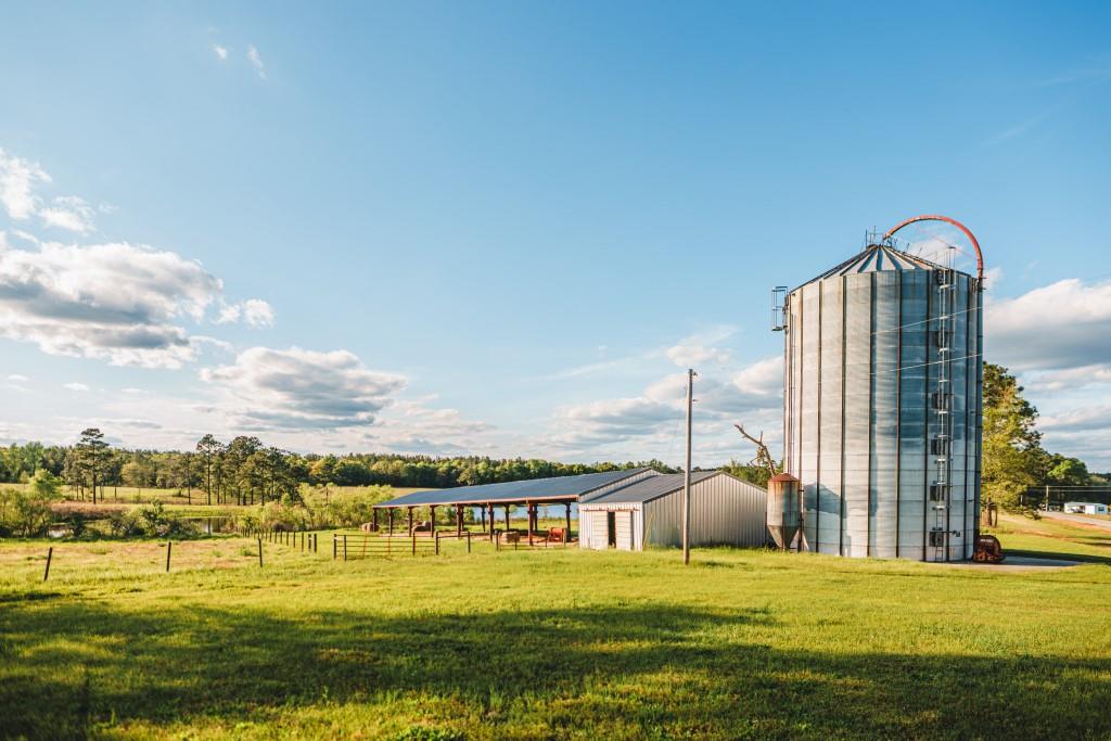 Lake Collins Farm Photo