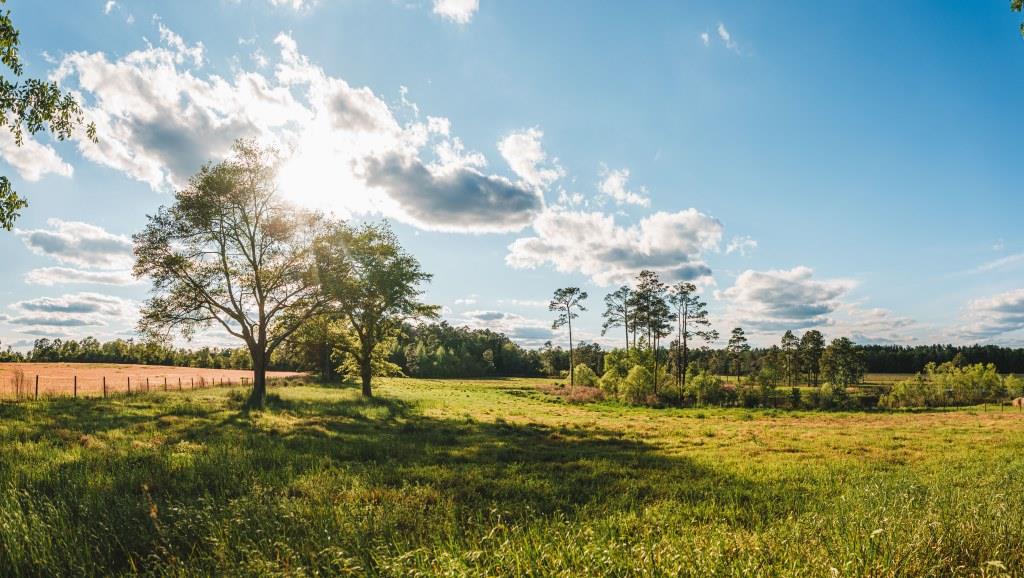 Lake Collins Farm Photo