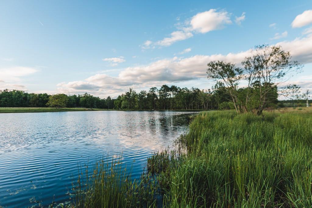 Lake Collins Farm Photo