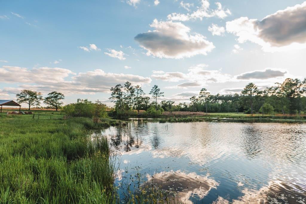 Lake Collins Farm Photo