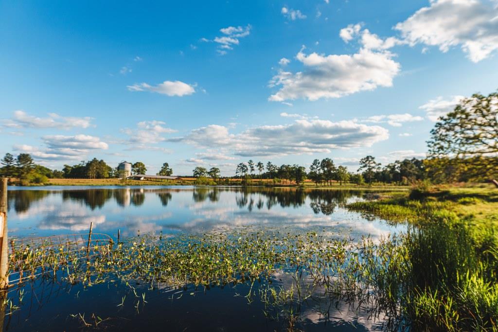 Lake Collins Farm Photo