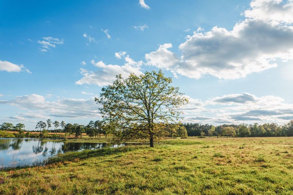 Lake Collins Farm Photo