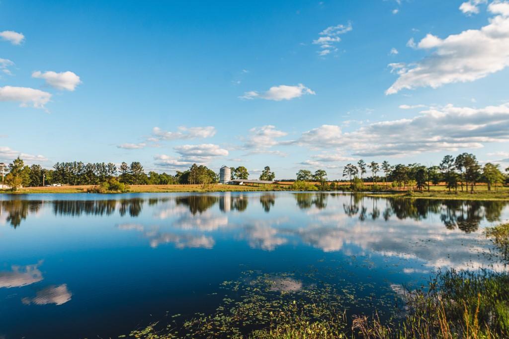 Lake Collins Farm Photo