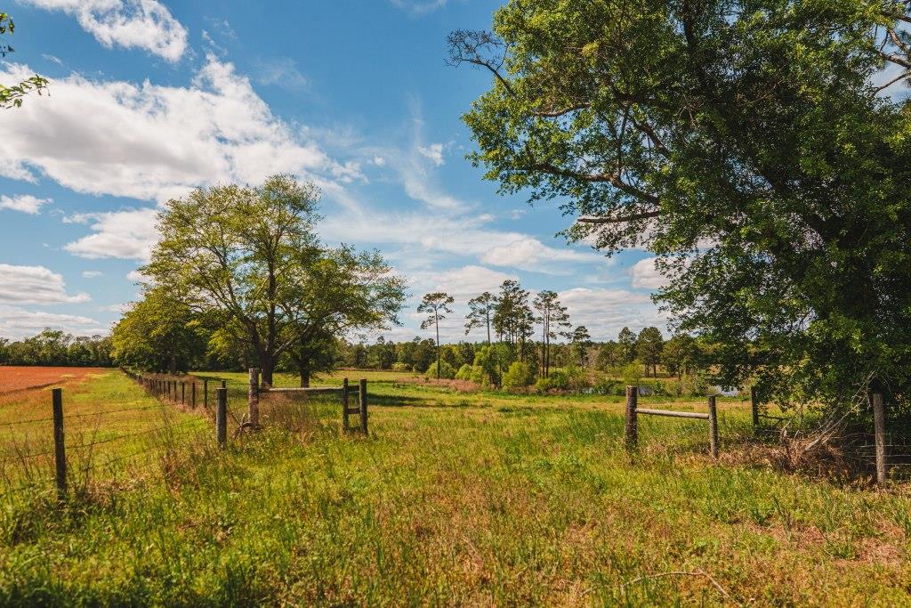 Lake Collins Farm Photo