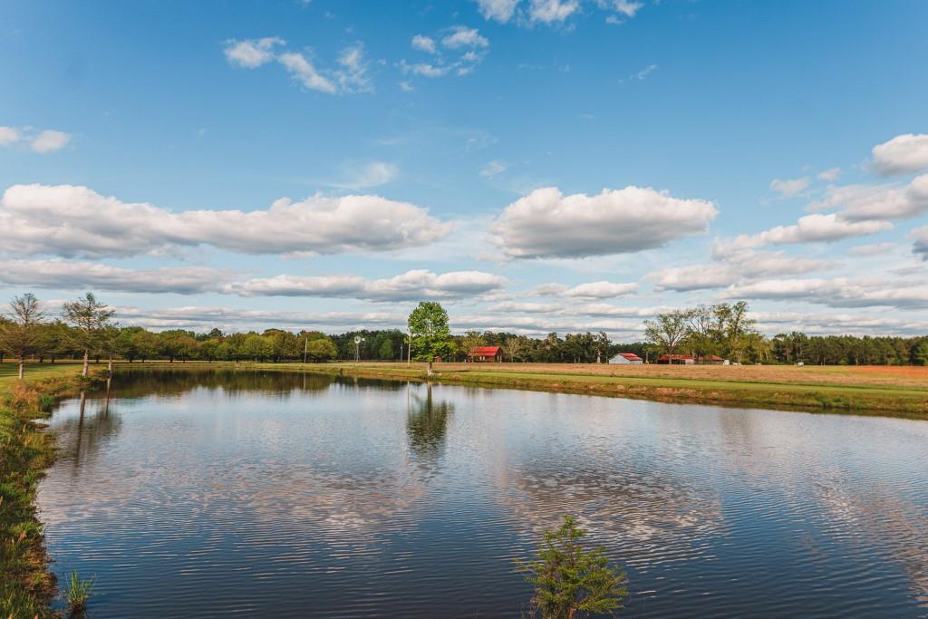 Dry Dock Farm Photo