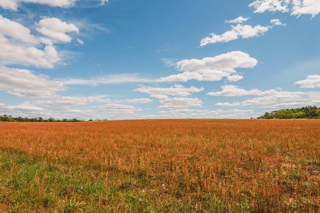 Lake Collins Farm Photo