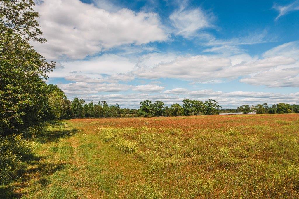 Lake Collins Farm Photo