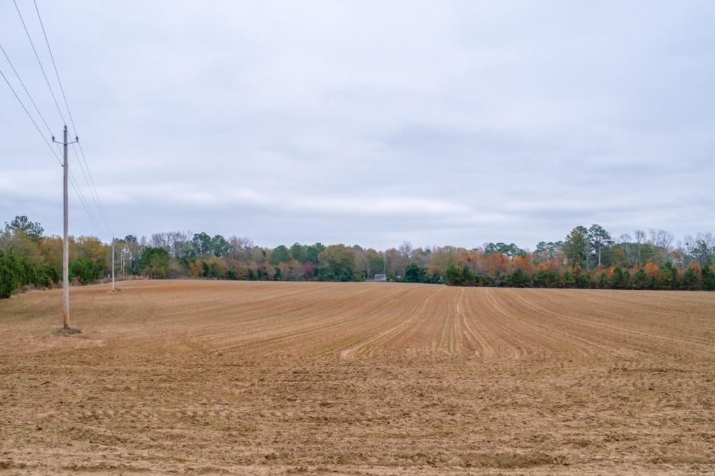 Register Way Farm Photo