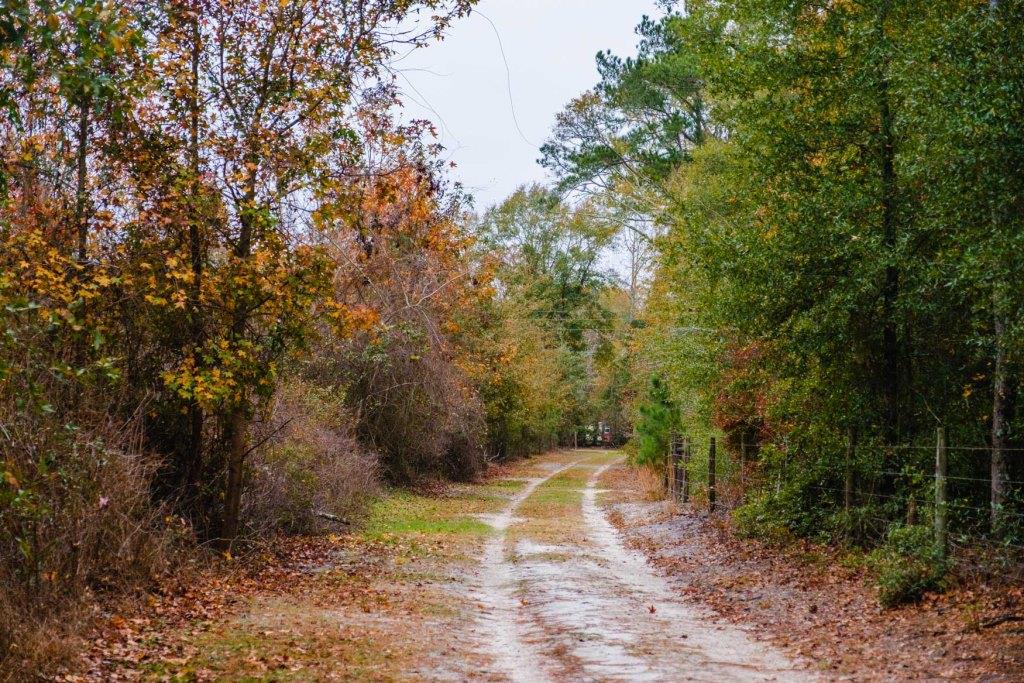 Register Way Farm Photo