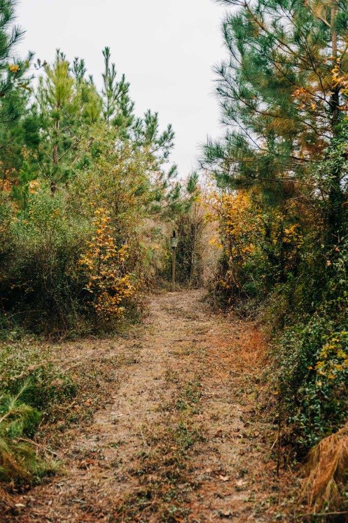 Register Way Farm Photo