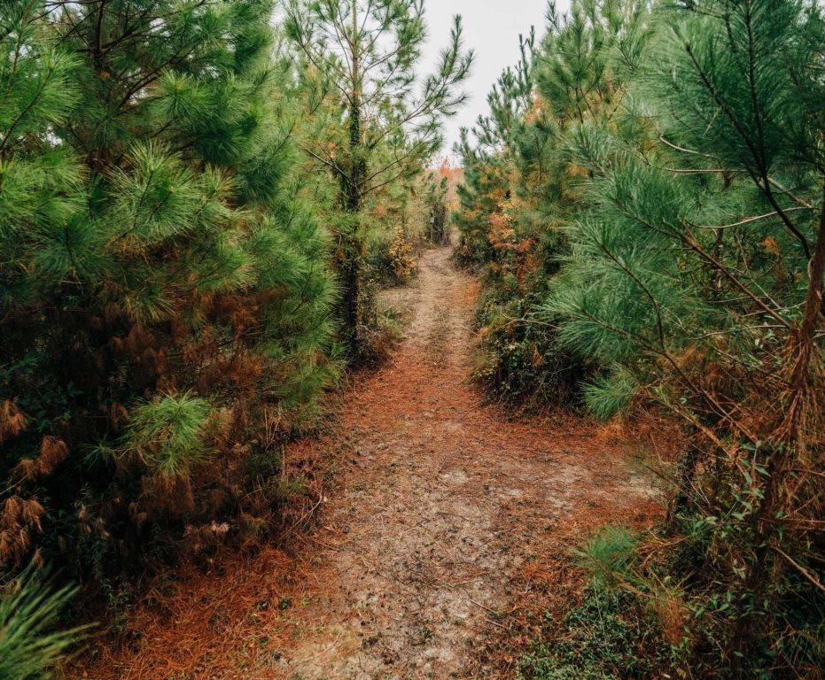 Register Way Farm Photo