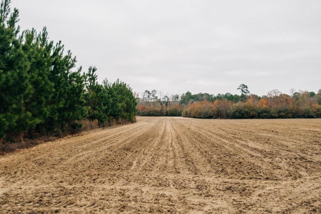 Register Way Farm Photo