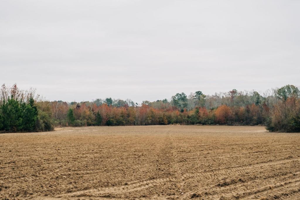 Register Way Farm Photo