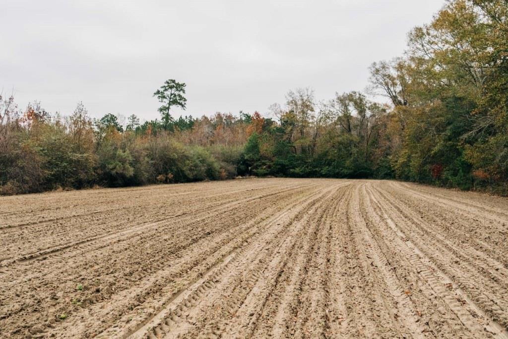 Register Way Farm Photo