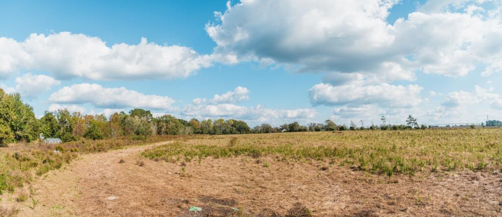 Boykin Pastures Photo