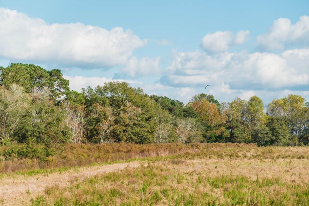 Boykin Pastures Photo