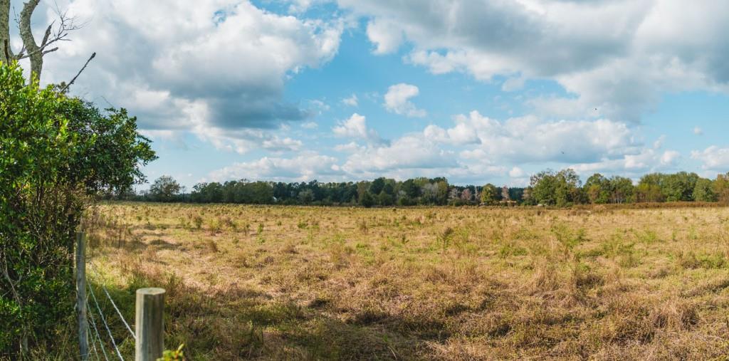 Boykin Pastures Photo