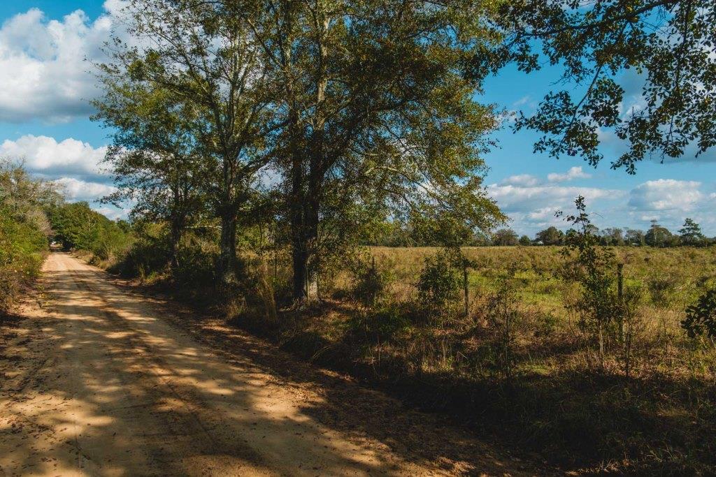 Boykin Pastures Photo