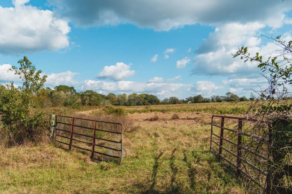 Boykin Pastures Photo