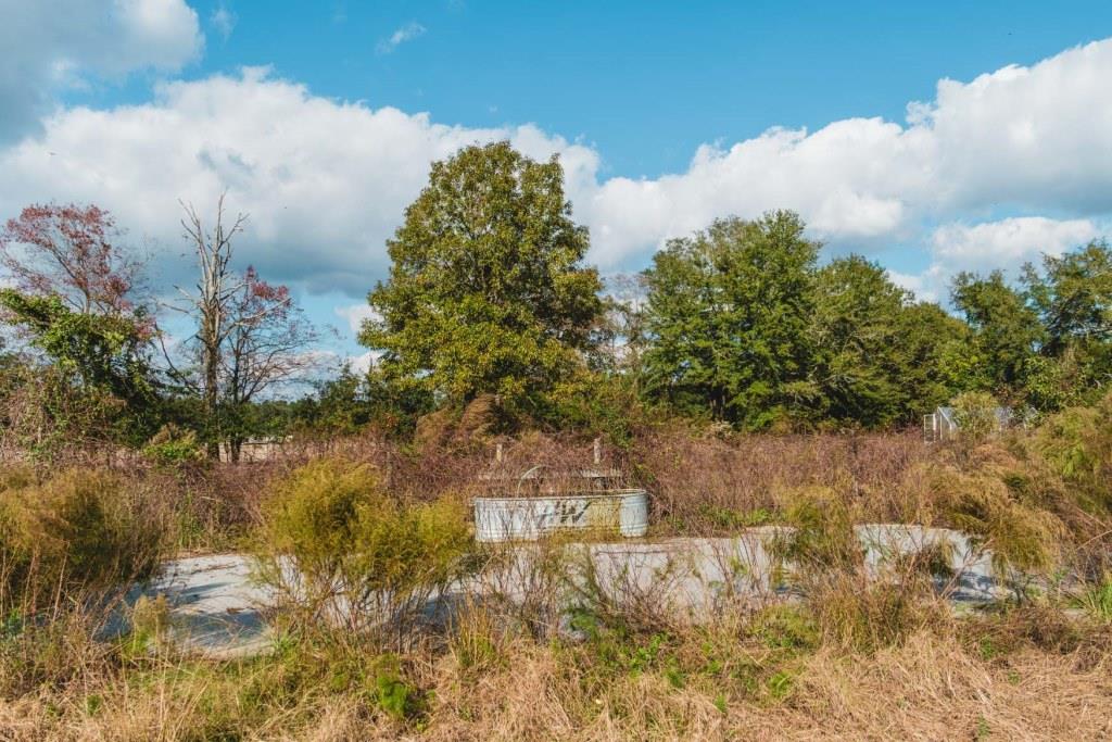 Boykin Pastures Photo