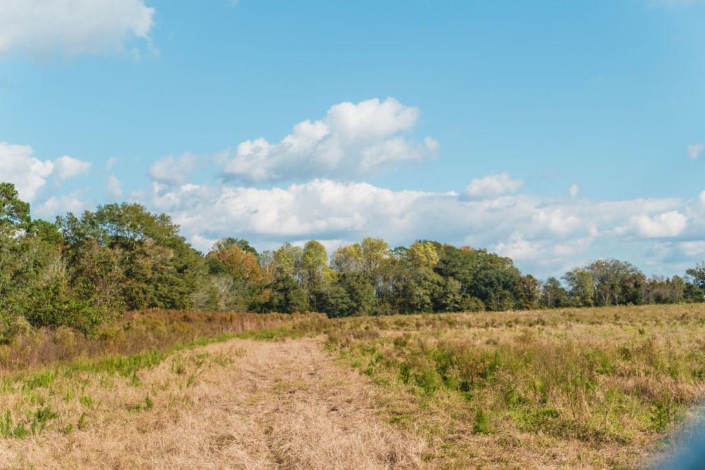 Boykin Pastures Photo