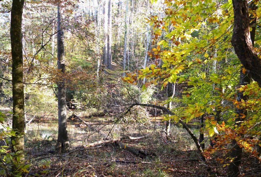 Beaver Dam Pond Photo