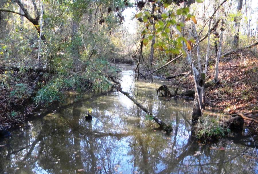 Beaver Dam Pond Photo