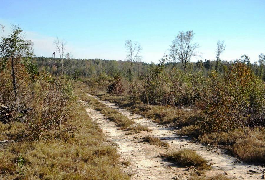 Beaver Dam Pond Photo