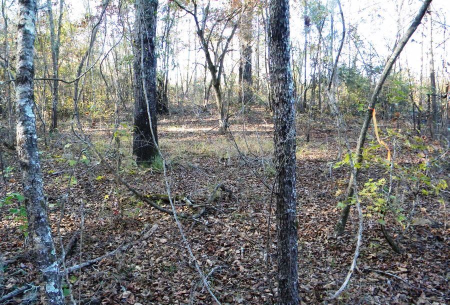 Beaver Dam Pond Photo