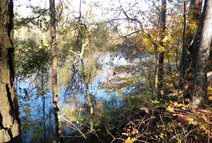 Beaver Dam Pond Photo