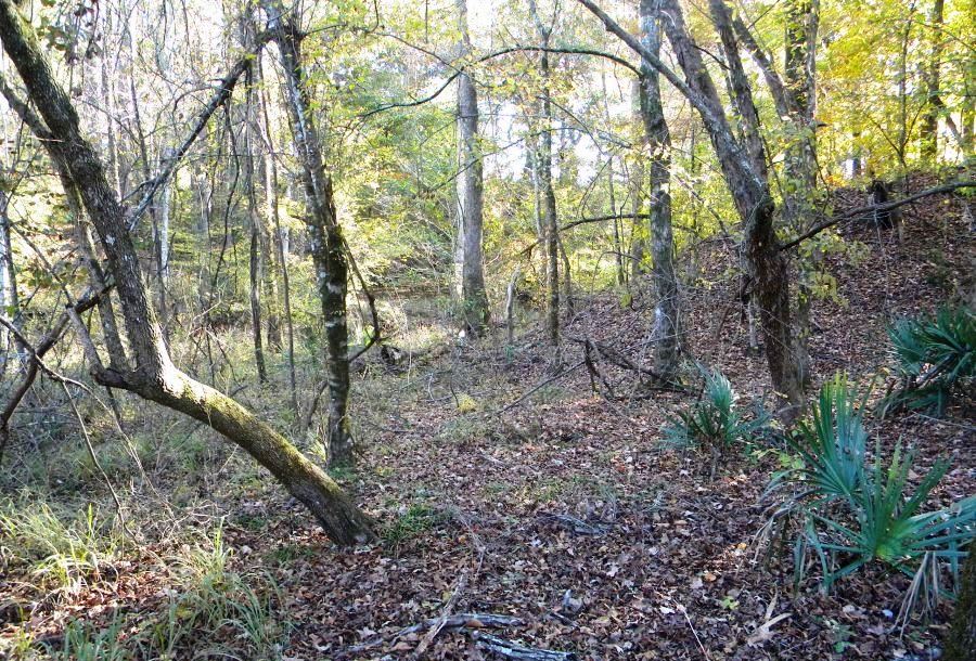 Beaver Dam Pond Photo