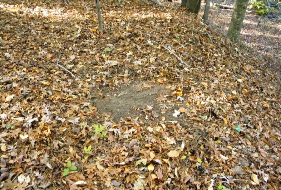 Beaver Dam Pond Photo